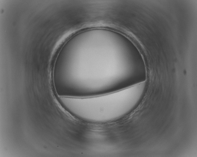 X0000072551416200607141000