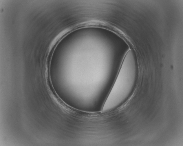 X0000072551418200607141000