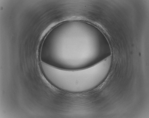 X0000072551422200607141000