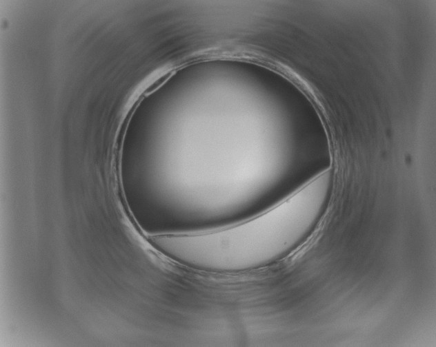 X0000072551434200607141000