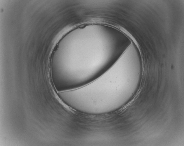 X0000072551437200607141000