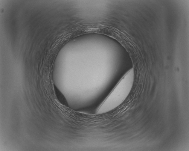 X0000072551441200607140959