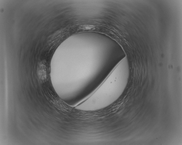 X0000072551442200607140959