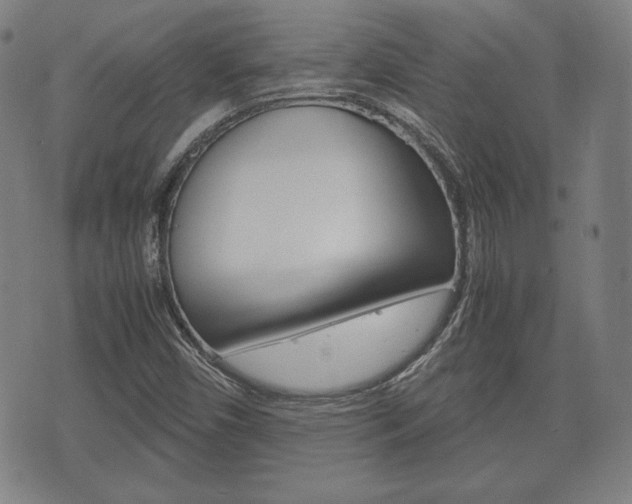 X0000072551450200607140959