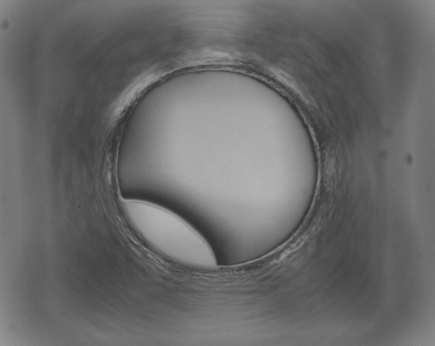 X0000072551455200607140959