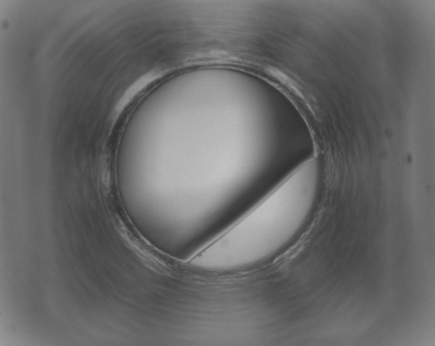 X0000072551458200607140959