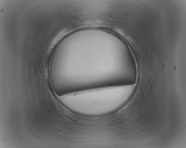 X0000072551459200607140959