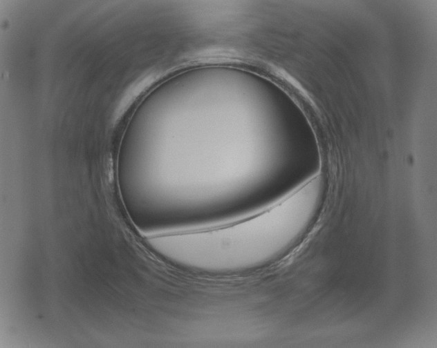 X0000072551461200607140959