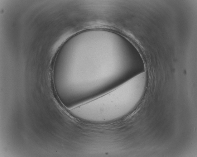 X0000072551463200607140959