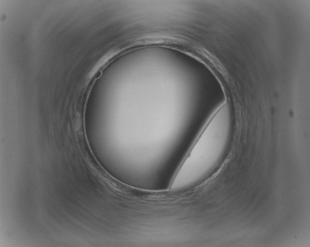 X0000072551465200607140959