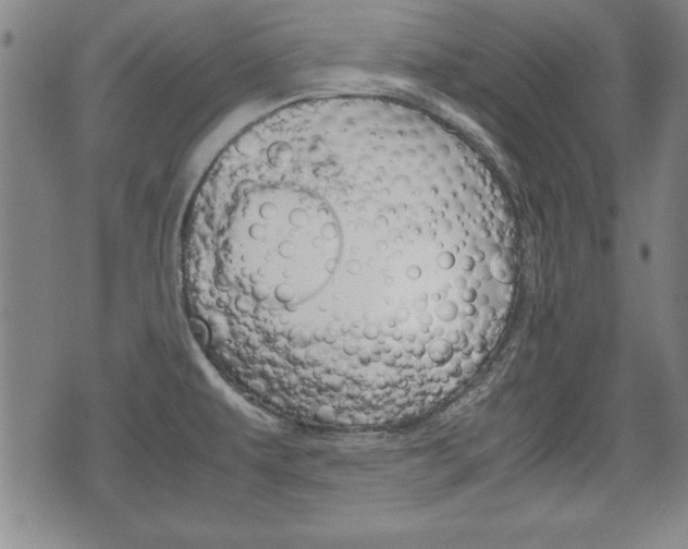 X0000072551479200607140959