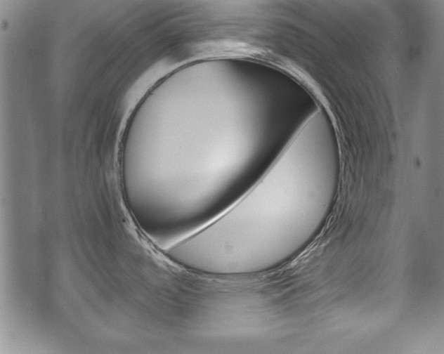 X0000072551488200607140959