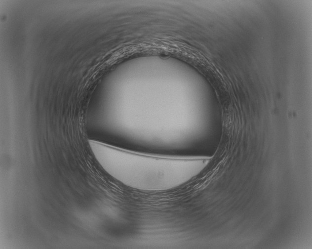 X0000072551490200607140958