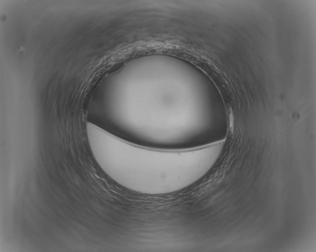 X0000072551492200607140958