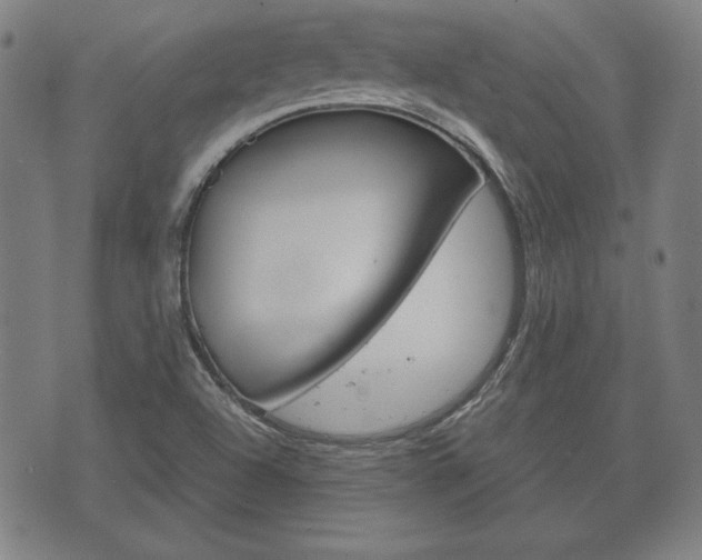 X0000072551504200607140958