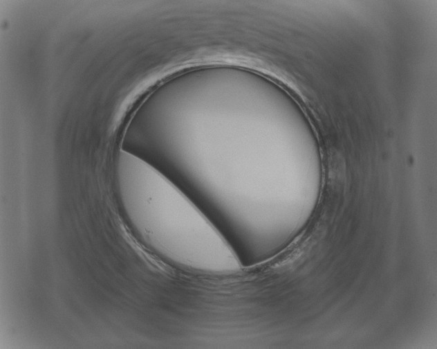 X0000072551507200607140958