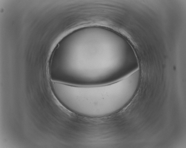 X0000072551516200607140958