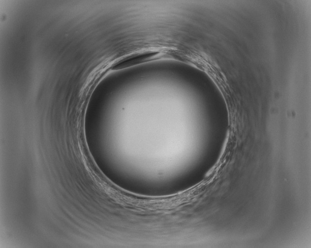 X0000072550001200607141304