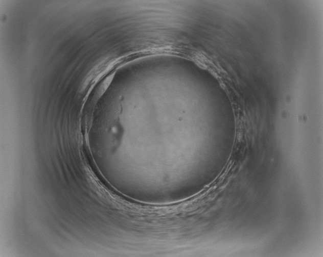 X0000072550002200607141304