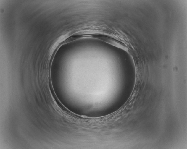 X0000072550003200607141304