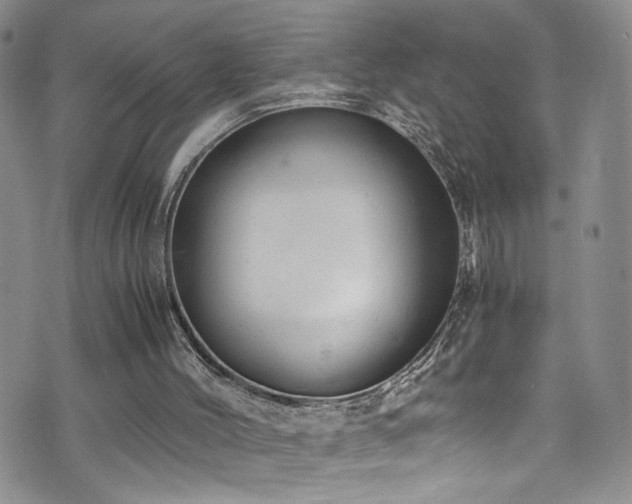 X0000072550004200607141304