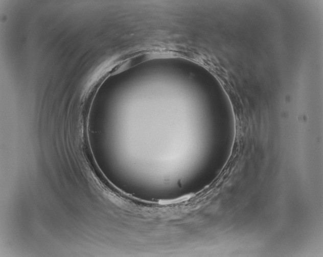 X0000072550005200607141304