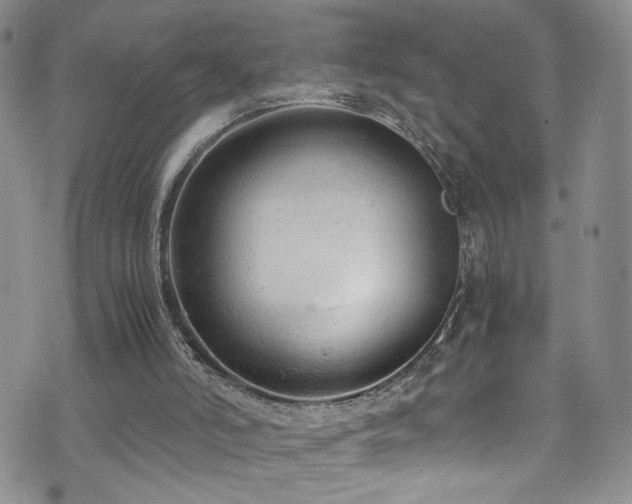 X0000072550006200607141304