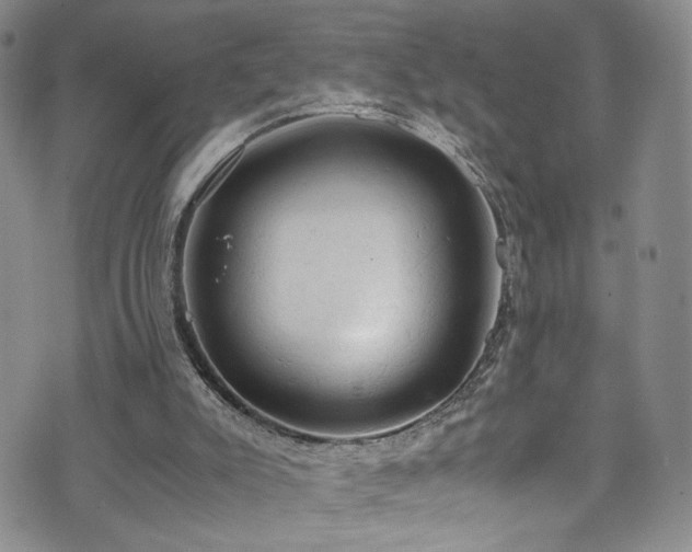 X0000072550007200607141304