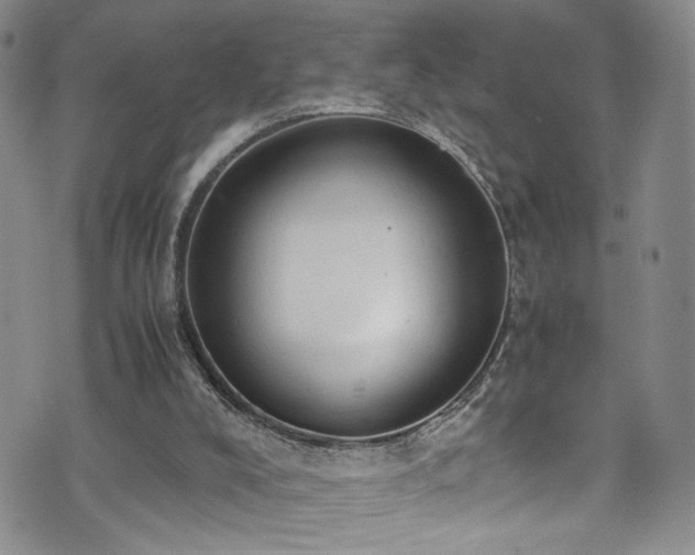 X0000072550008200607141304