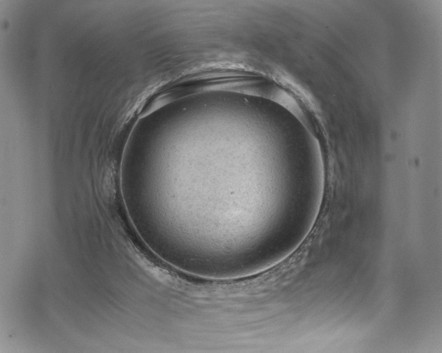 X0000072550009200607141304