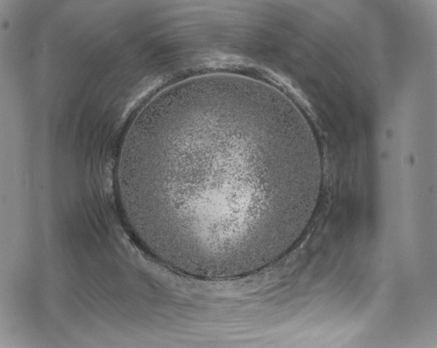 X0000072550010200607141304