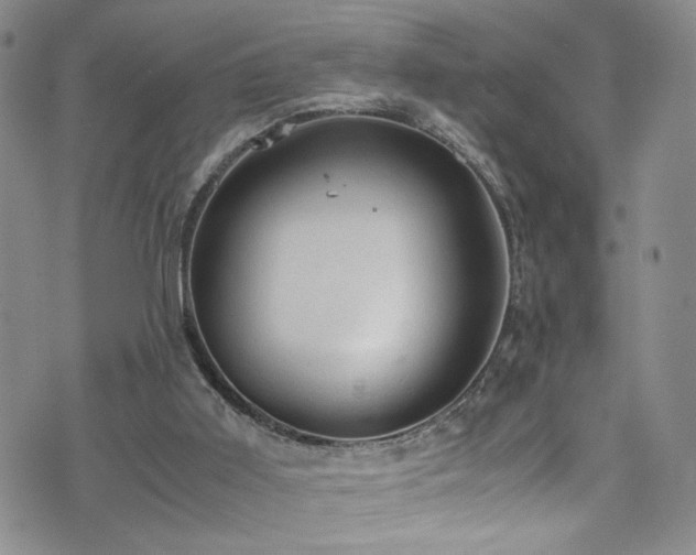 X0000072550011200607141304