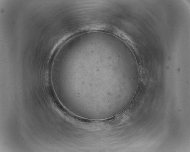 X0000072550012200607141304