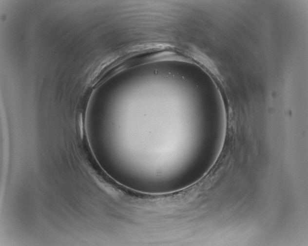 X0000072550013200607141304