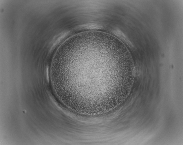 X0000072550014200607141304