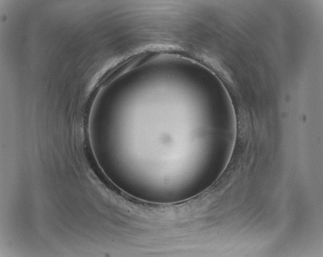 X0000072550015200607141304