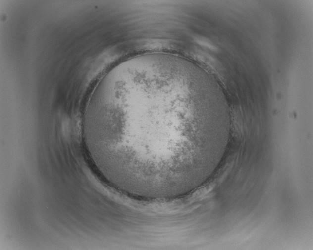 X0000072550016200607141304