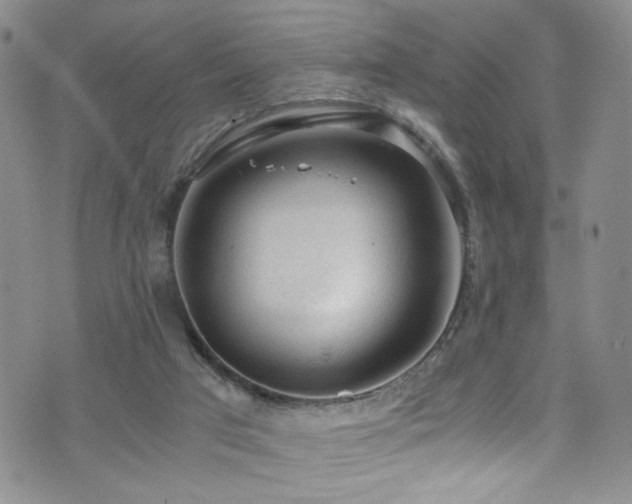 X0000072550017200607141304