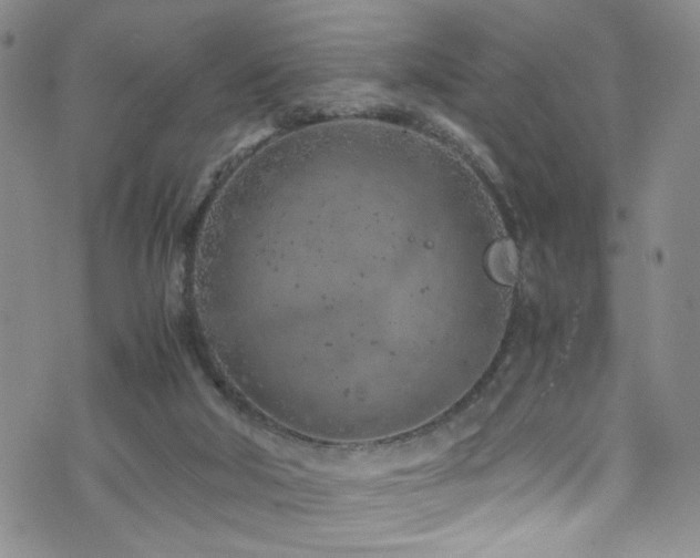 X0000072550018200607141304