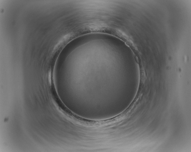 X0000072550019200607141304