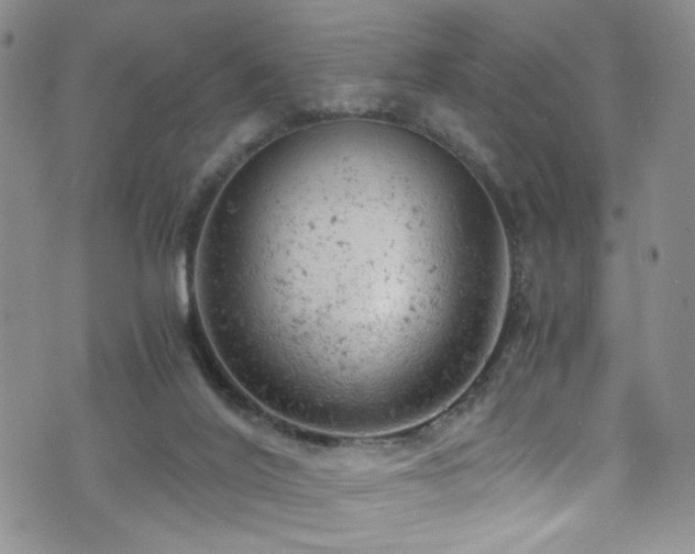 X0000072550020200607141304