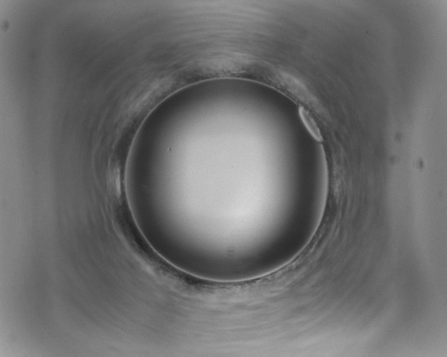 X0000072550021200607141304