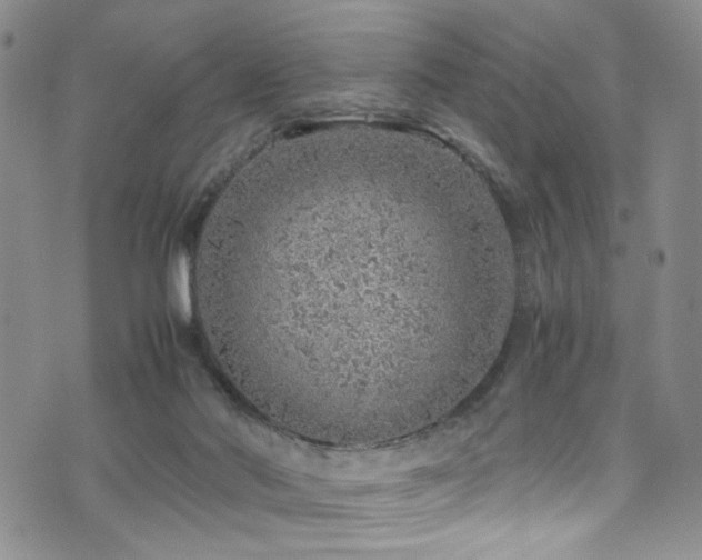 X0000072550022200607141304