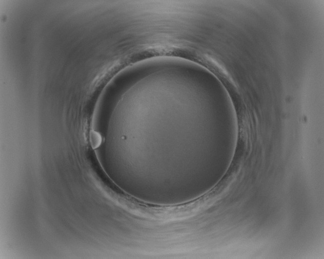 X0000072550023200607141304