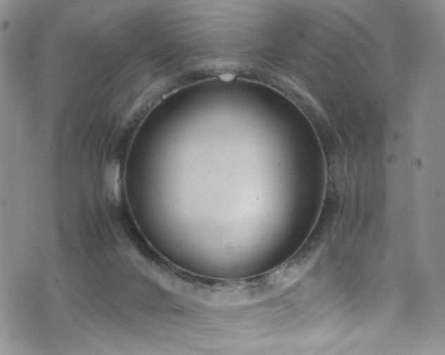 X0000072550024200607141304