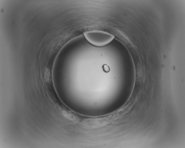 X0000072550025200607141304