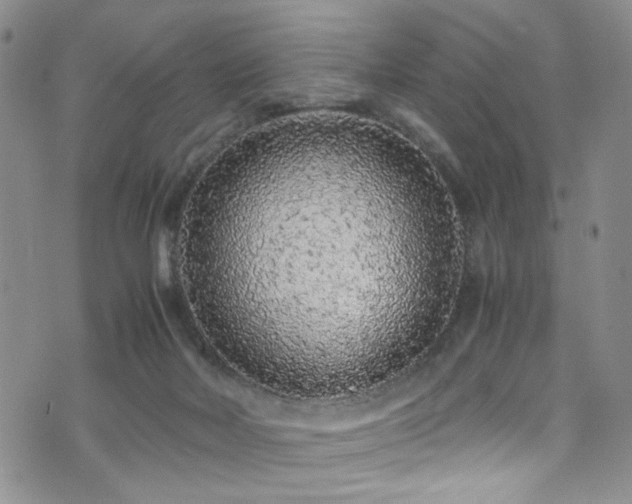 X0000072550026200607141304