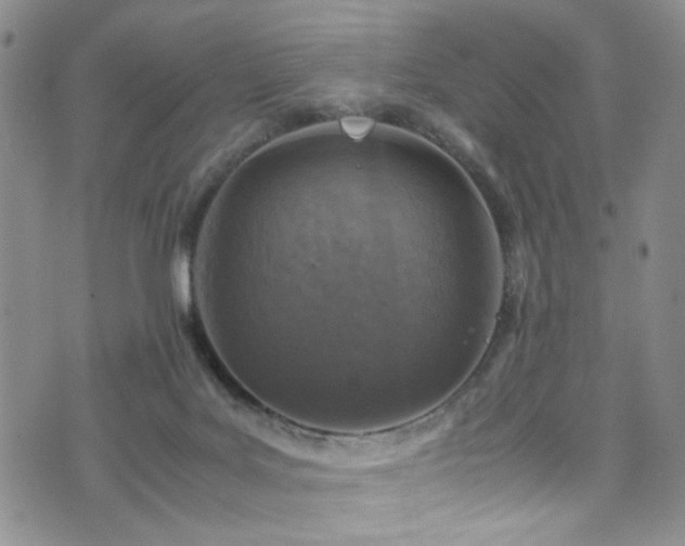 X0000072550027200607141304