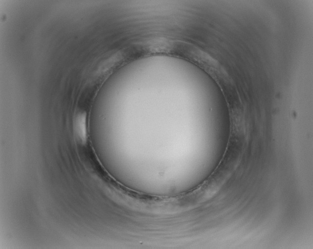 X0000072550028200607141304