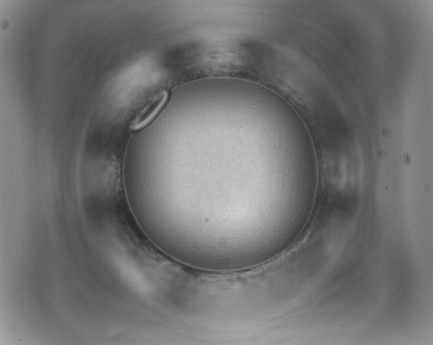 X0000072550029200607141304